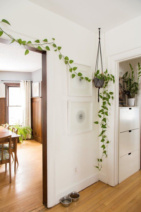 Potted-greenery-covering-the-doorway-will-bring-a-spring-feel-to-the-space-in-an-eco-friendly-way