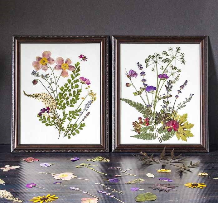 Pressed-flower-wall-art-feature