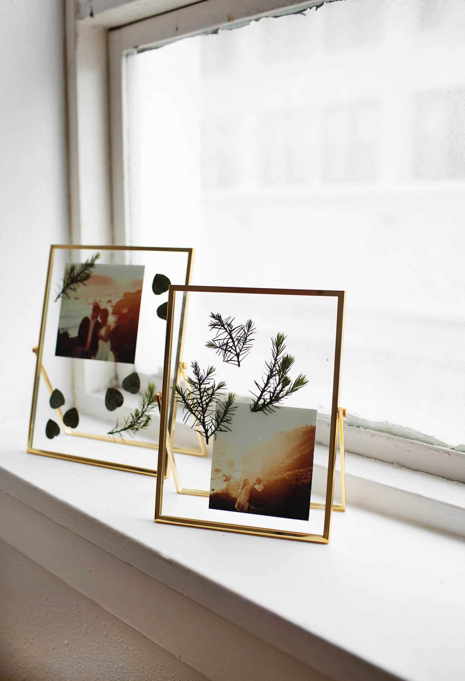 Pressed-plant-photo-frames-