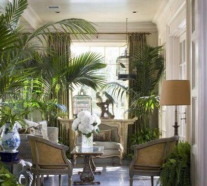 Small-living-room-green-plants