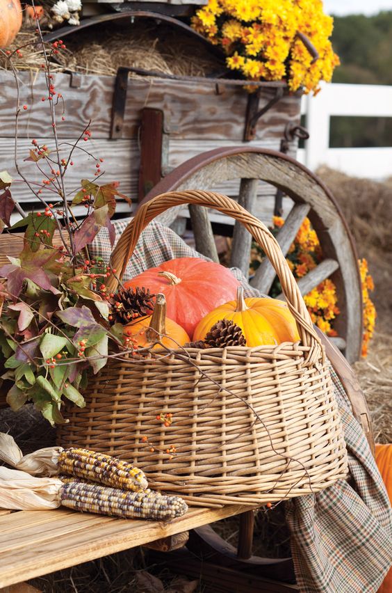 02-a-basket-with-colorful-pumpkins-and-pinecones-is-a-perfect-idea-for-indoor-and-outdoor-decor