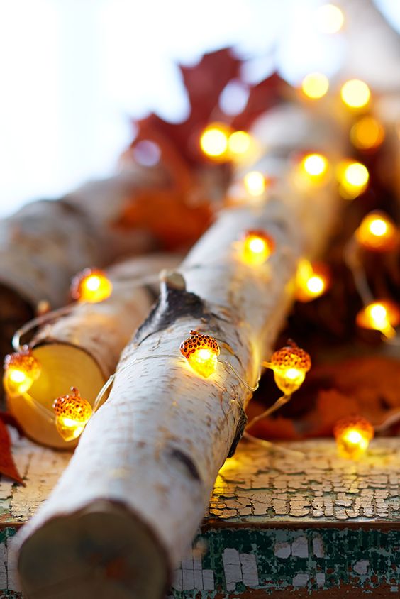02-acorn-shaped-lights-to-gently-illuminate-your-autumn-decor