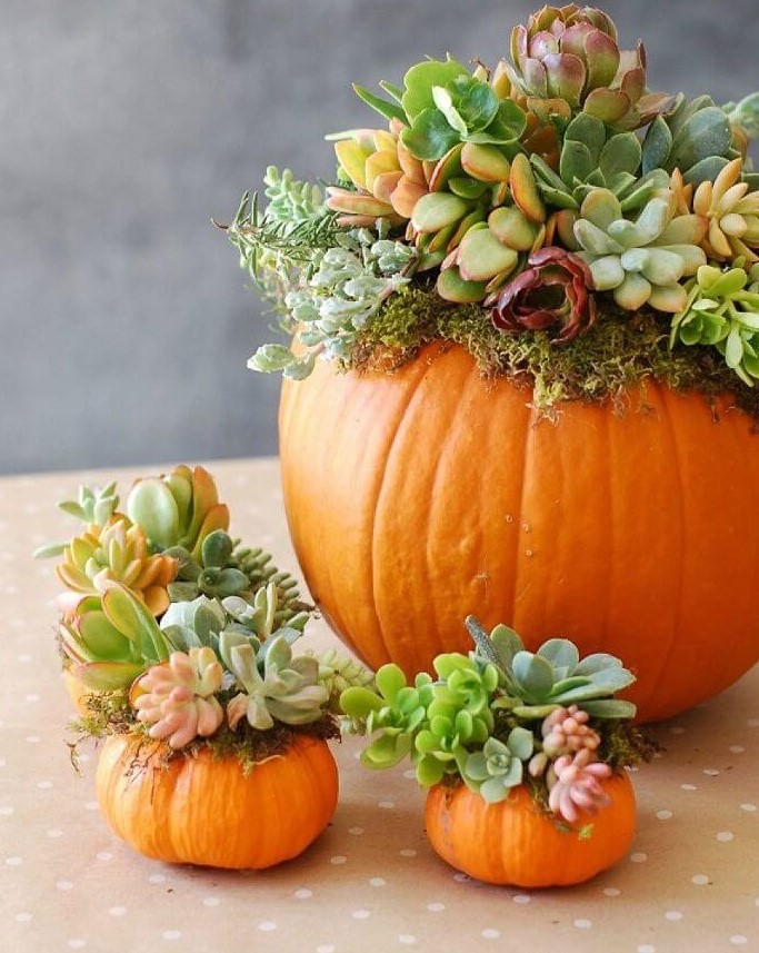 07-pumpkin-centerpiece-ideas-homebnc-1