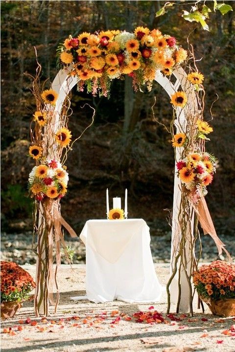 1-17-fall-colored-bold-rustic-wedding-arch