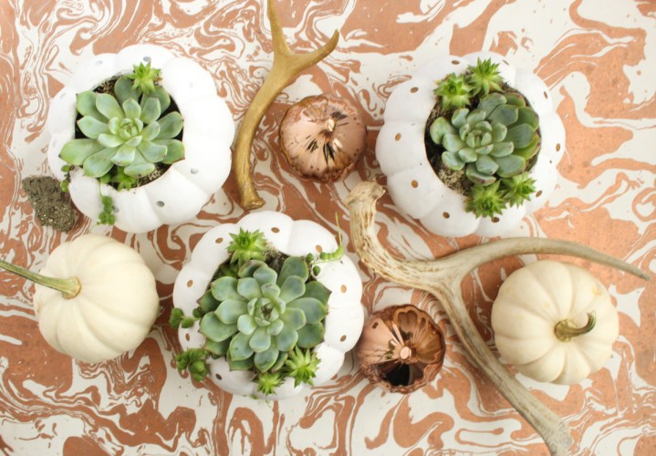 1-diy-fall-and-thanksgiving-pumpkin-centerpieces-6