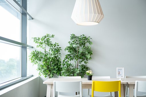 1-plants-in-dining-room