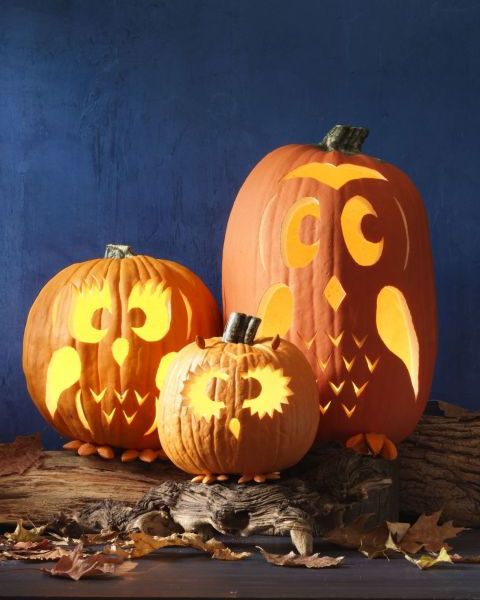 1503853073-gallery-owl-pumpkins-1