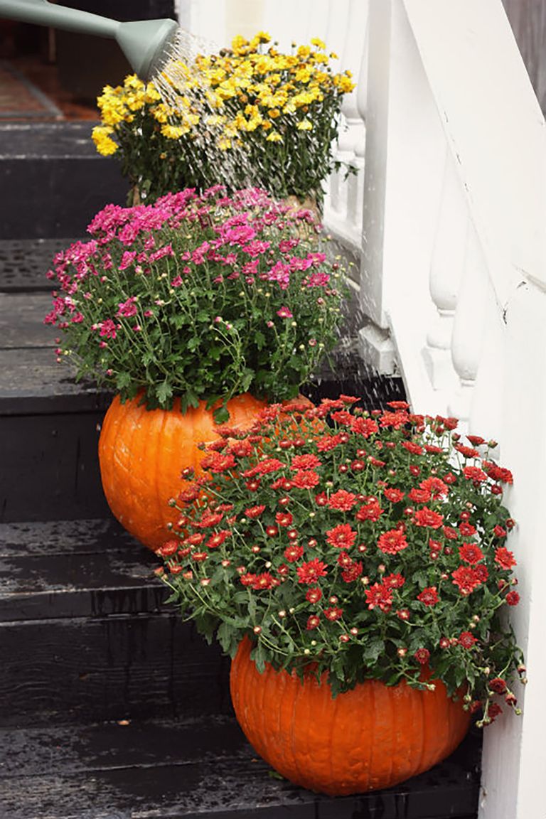 1506107582-watering-pumpkin-planters
