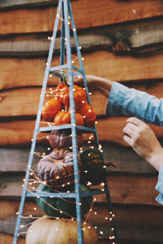 17-colorful-fall-pumpkins-placed-on-a-terrain-and-light-with-lights-1