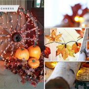 40 varied lighting with fall themes2