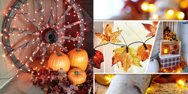 40 varied lighting with fall themes2
