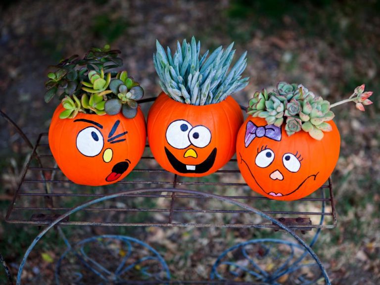 Diy-funny-face-pumpkin-planters-from-the-diy-network-768x576-1