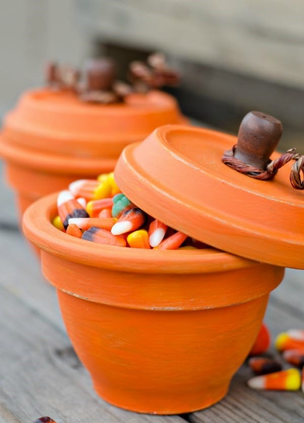 Diy-pumpkin-terracotta-pots-5
