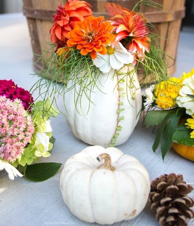 Mini-pumpkin-vases-pin-1