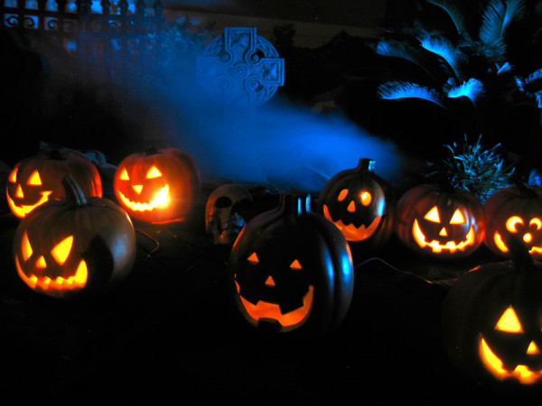 Orange-pumpkins-with-skull-cross-and-blue-background-lighting-600x450-1