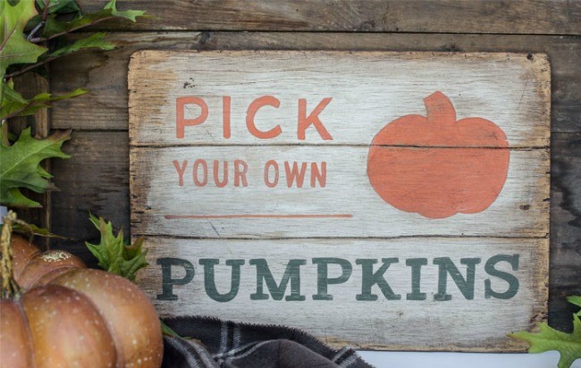 Pick-your-own-pumpkins-diy-fall-sign