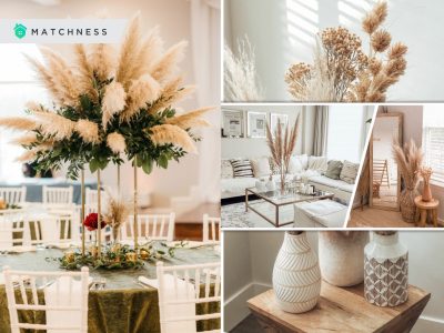Pampas grass for your fall home decors2