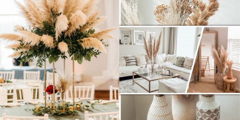 Pampas grass for your fall home decors2
