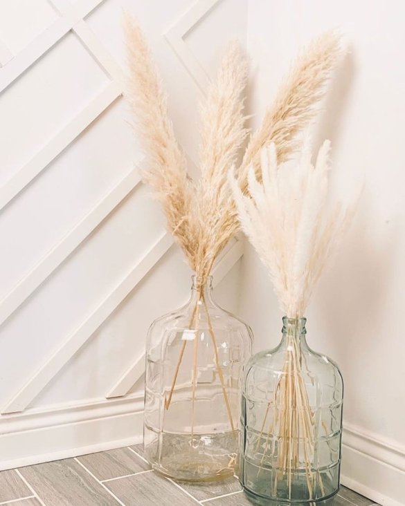 Pampas-grass-home-and-garden-ideas22