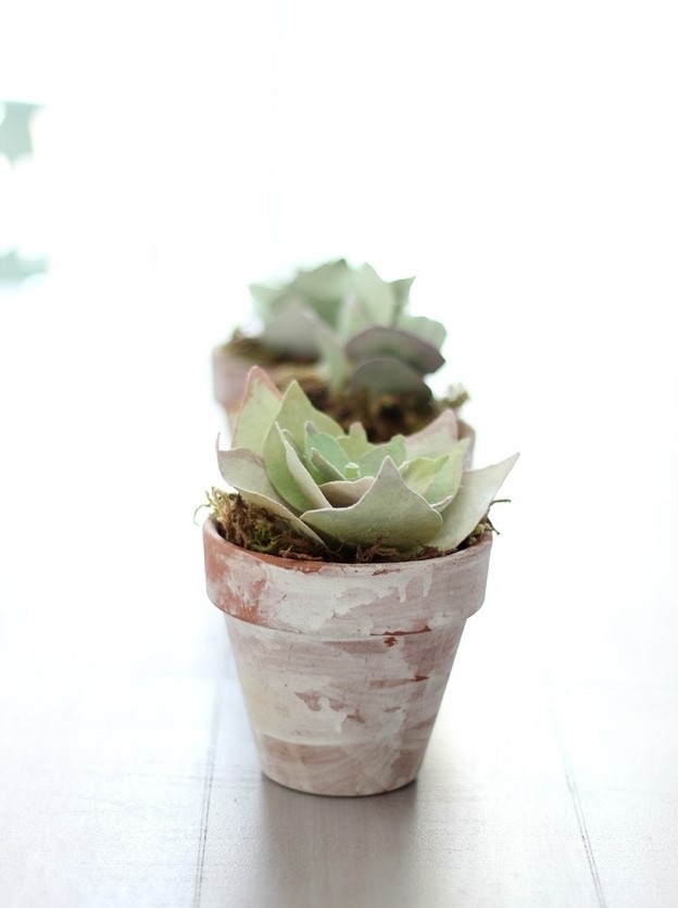 Paper-succulents