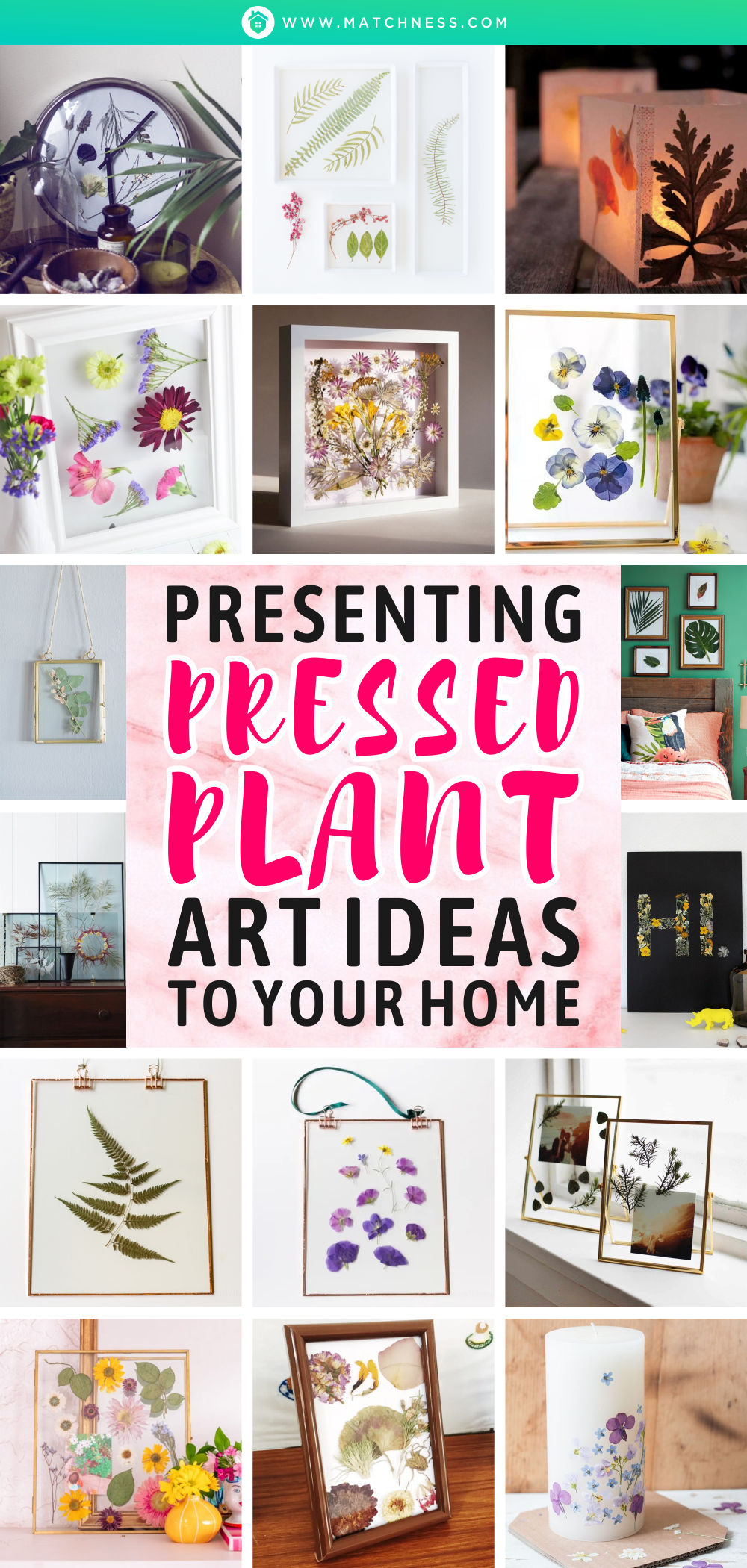 Presenting-pressed-plant-art-ideas-to-your-home1