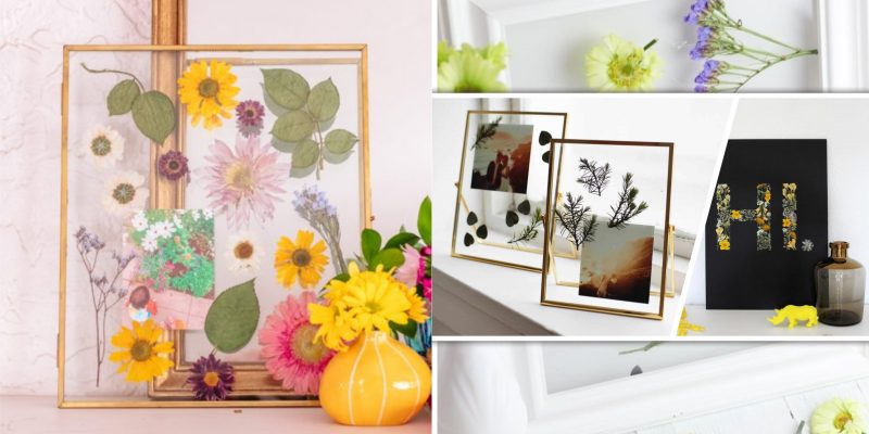 Presenting pressed plant art ideas to your home2