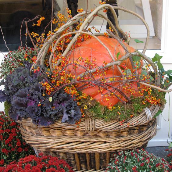 Pumpkin-grapevine-basket