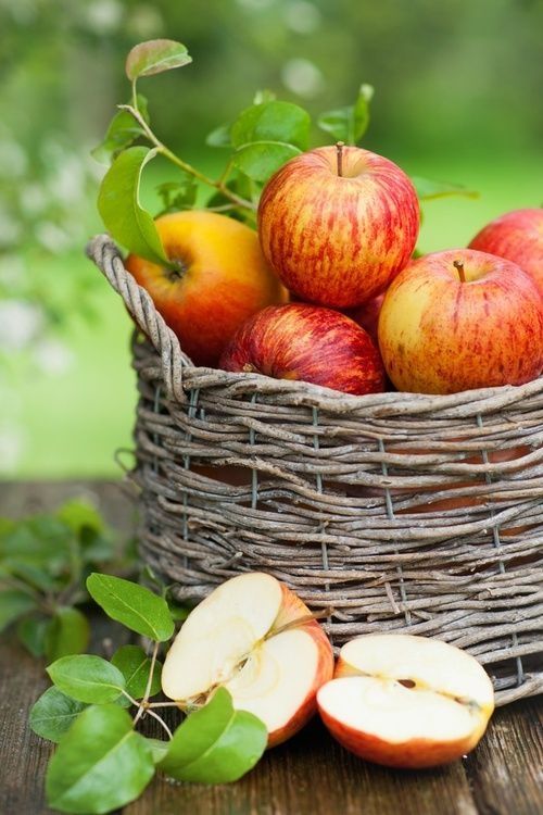 A-basket-with-apples-and-greenery-is-a-lovely-fall-decoration-in-rustic-style-make-it-easily