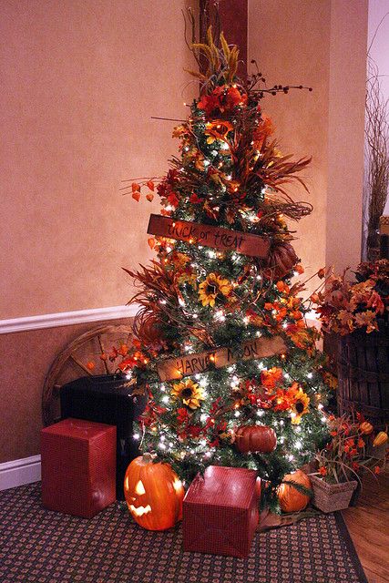 A-chic-thanksgiving-tree-with-lights-sunflowers-pumpkins-dried-grasses-and-leaves-plus-some-signs