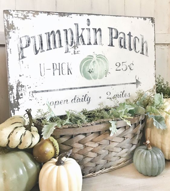 A-shabby-chic-sign-with-black-letters-and-a-green-pumpkin-placed-on-a-basket-with-greenery-and-surrounded-by-pumpkins