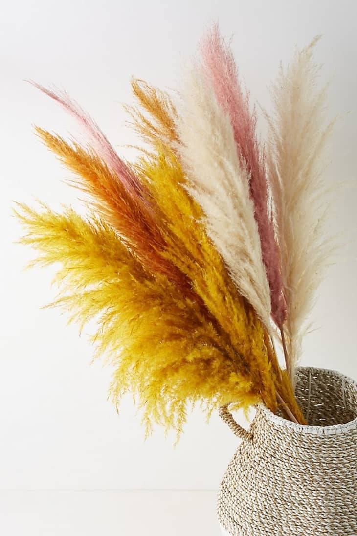 At_style_2020-12_dried-flowers_58329236_011_b10