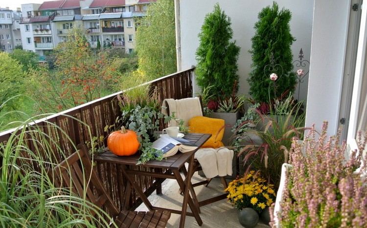 Balkon-herbstlich-dekorieren-ziergraser-gelbe-chrysanthemen-kuscheldecke-stuhl