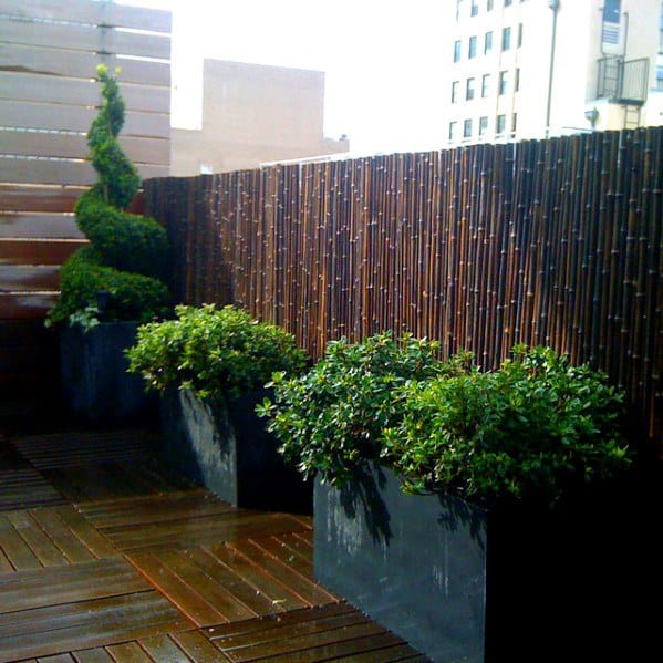 Bamboo-fence-home-designs