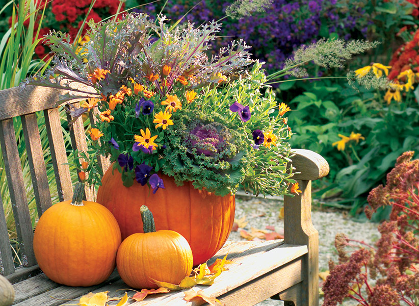 C-pumpkin-planter-lead