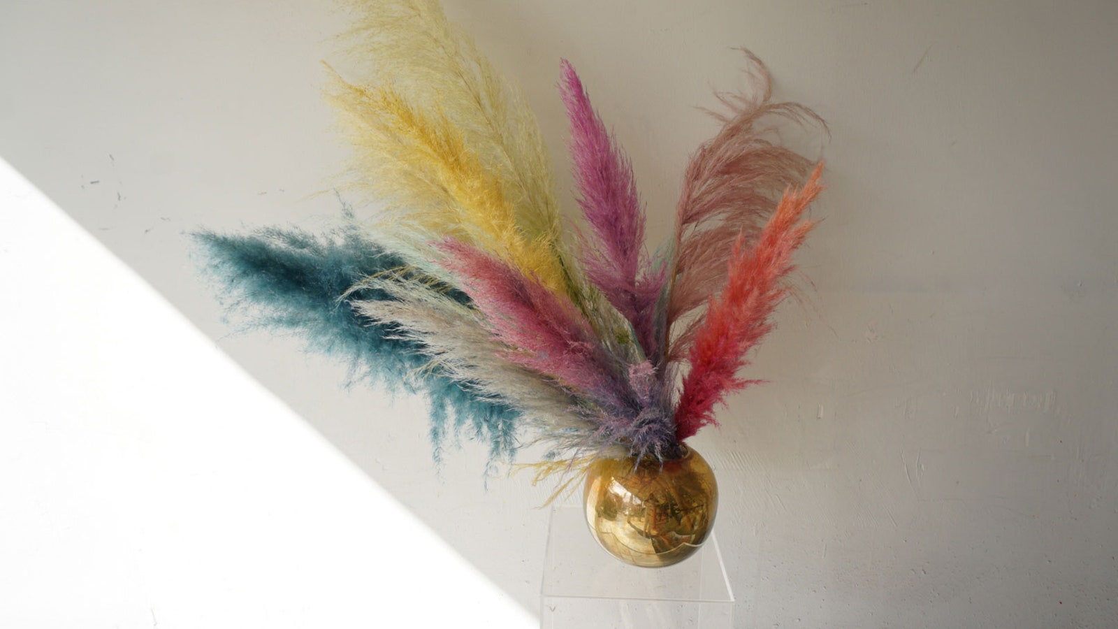 Colored-pampas-grass-03
