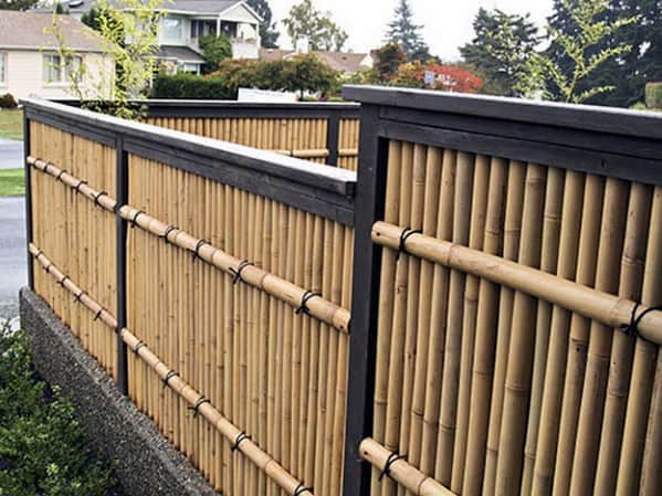 Contemporary-bamboo-fence-home-ideas