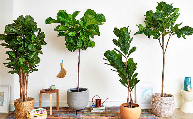 Create-plant-corner