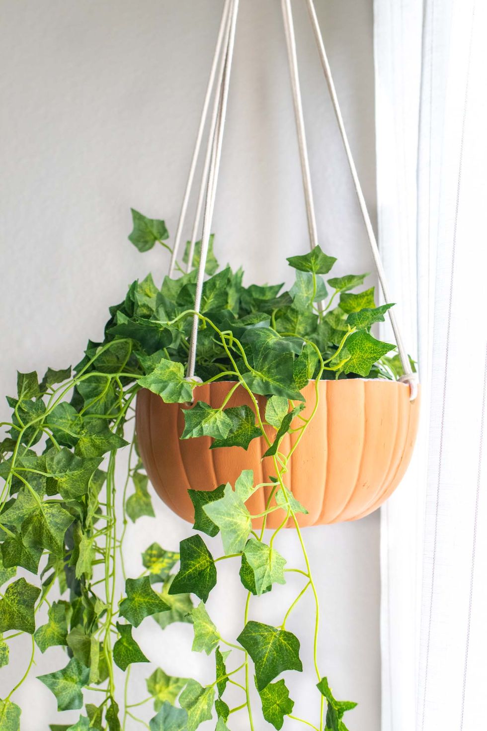 Diy-hanging-pumpkin-planter-pumpkin-crafts-1625588818