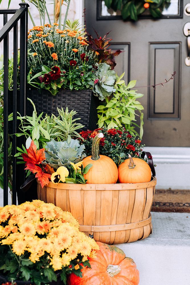 Fall-1624636548