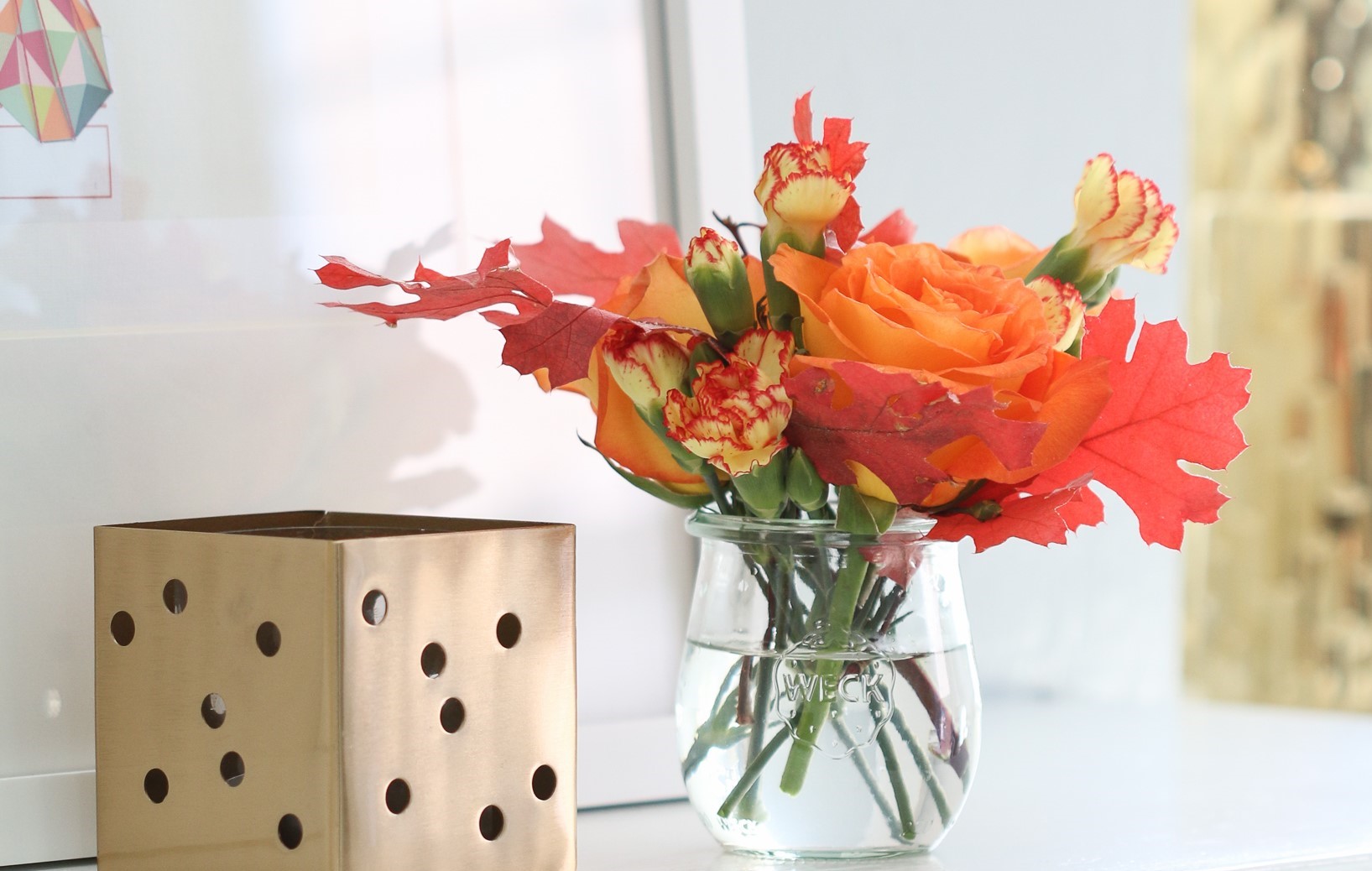 Fall-rose-1