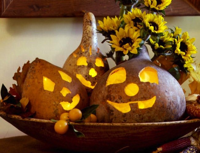 Gourd-jackolantern