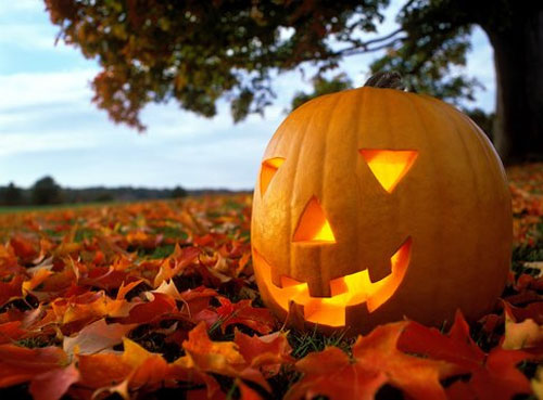 Halloween-pumpkin-carving-ideas-126