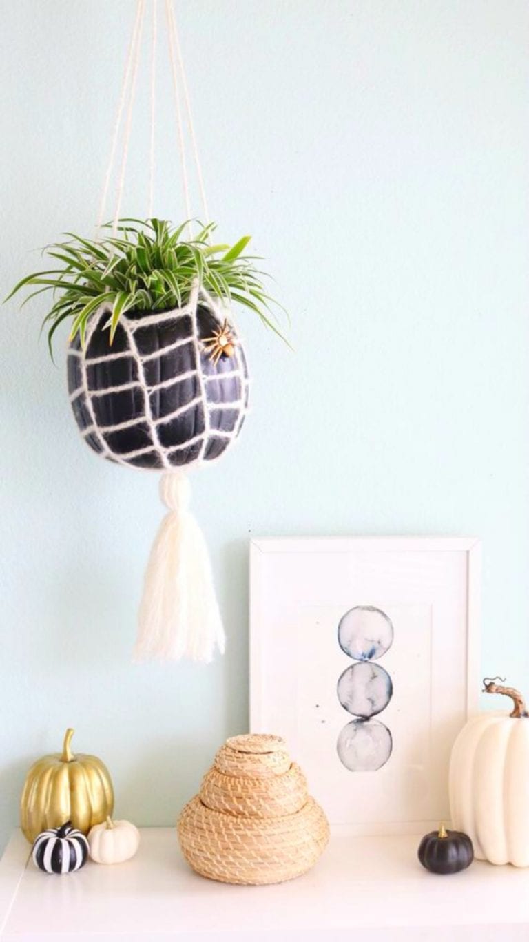 Hanging-pumpkin-web-planter-768x1368-1