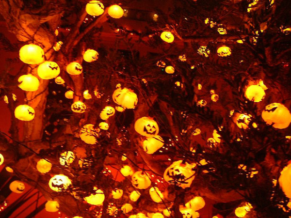 Hundreds-of-pumpkin-lights-in-trees-600x450-1