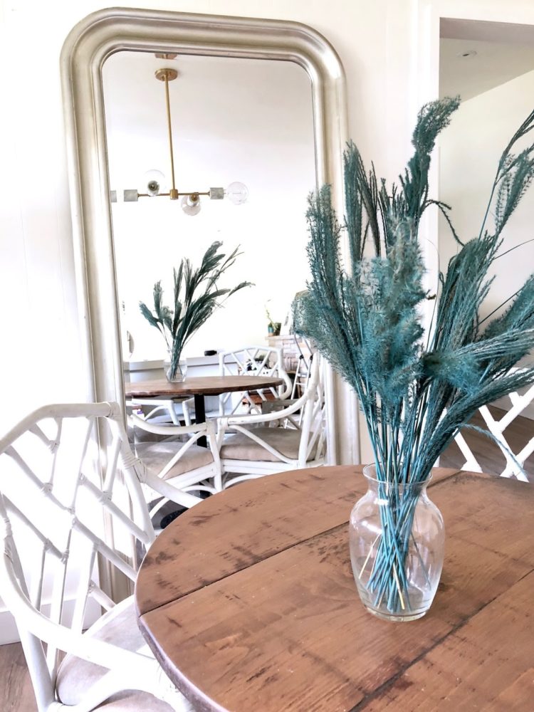 Pampas-grass-zone-5