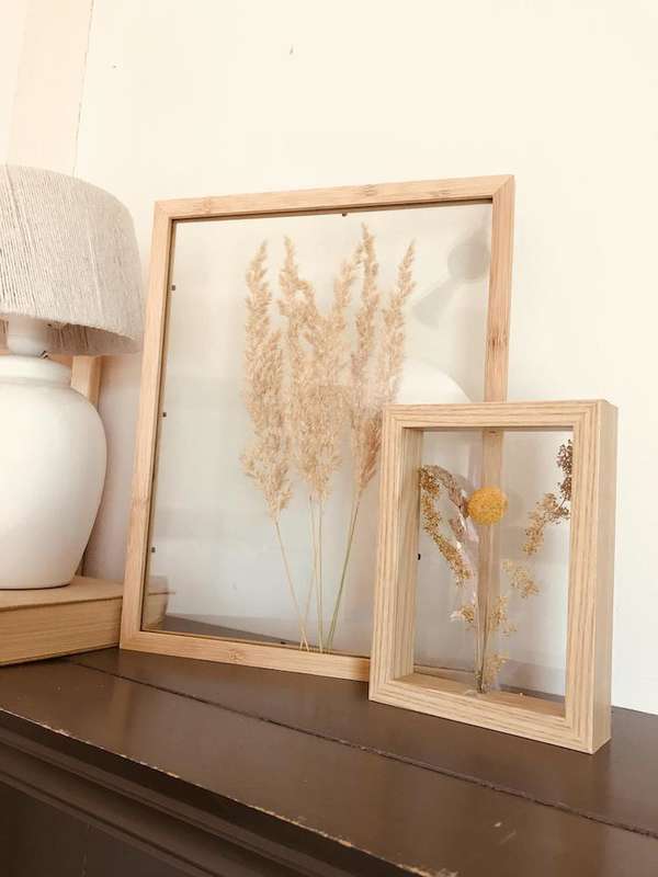 Pampas_framed_art