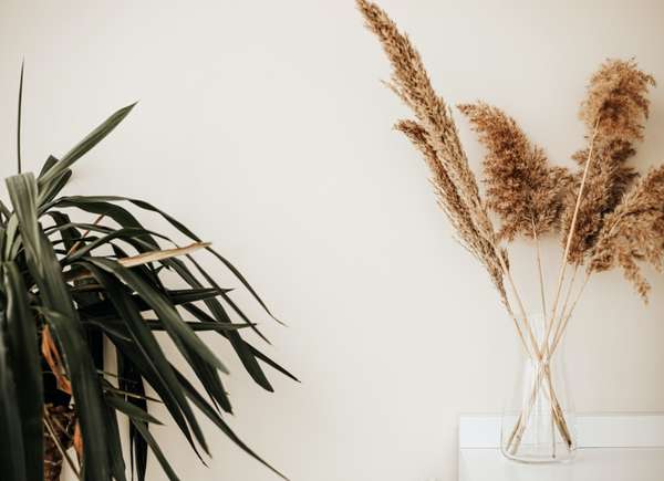 Pampas_grass_decor_ideas
