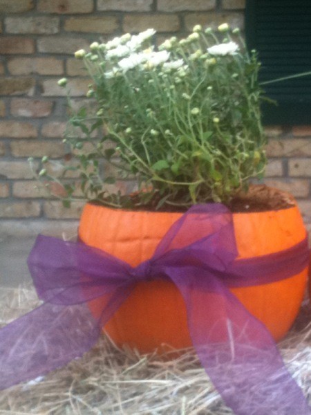 Pumpkin_planter_13_m20