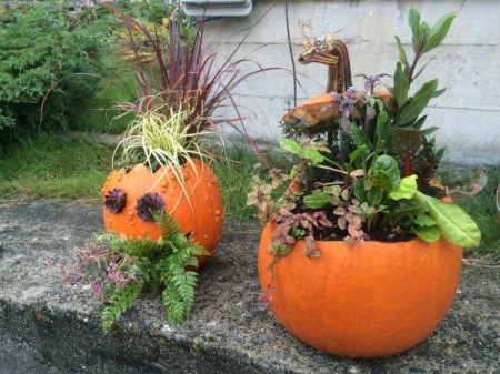 Pumpkin_planters_6_m4