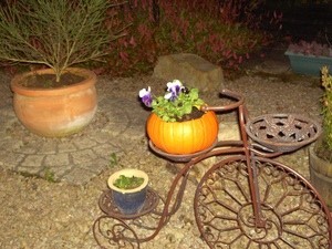 Pumpkindecor300x225_m2